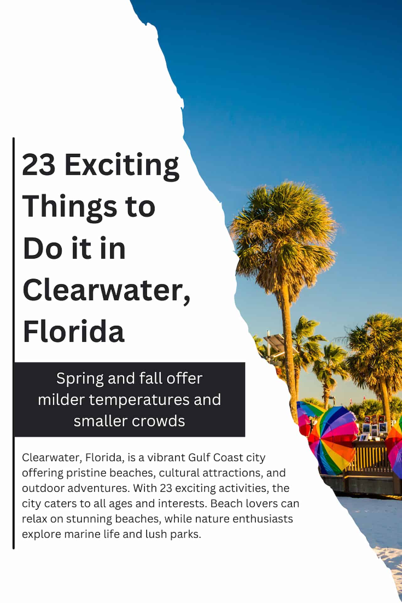 23 Exciting Things to Do in Clearwater Florida 1