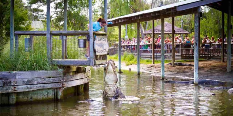 23 Family Friendly Activities In Myrtle Beach