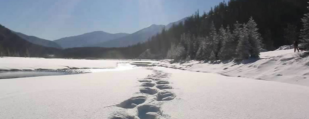 30 Fun Festive Winter Activities In the Berkshires