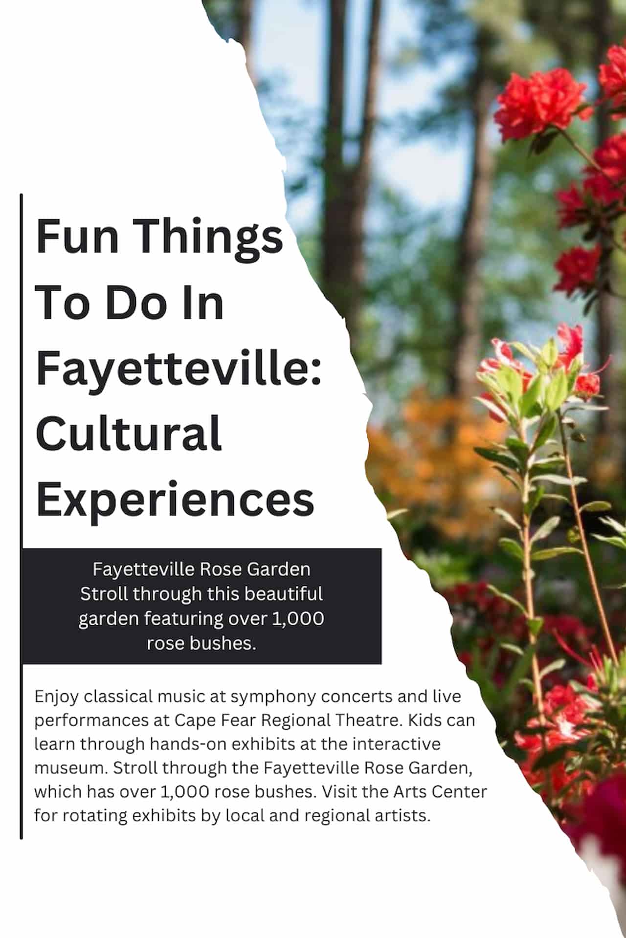 32 Fun Things To Do In Fayetteville NC Museums Food More Cultural Experiences