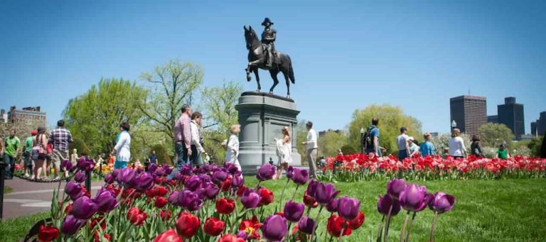 32 Spring Activities In Boston Seasonal Events More
