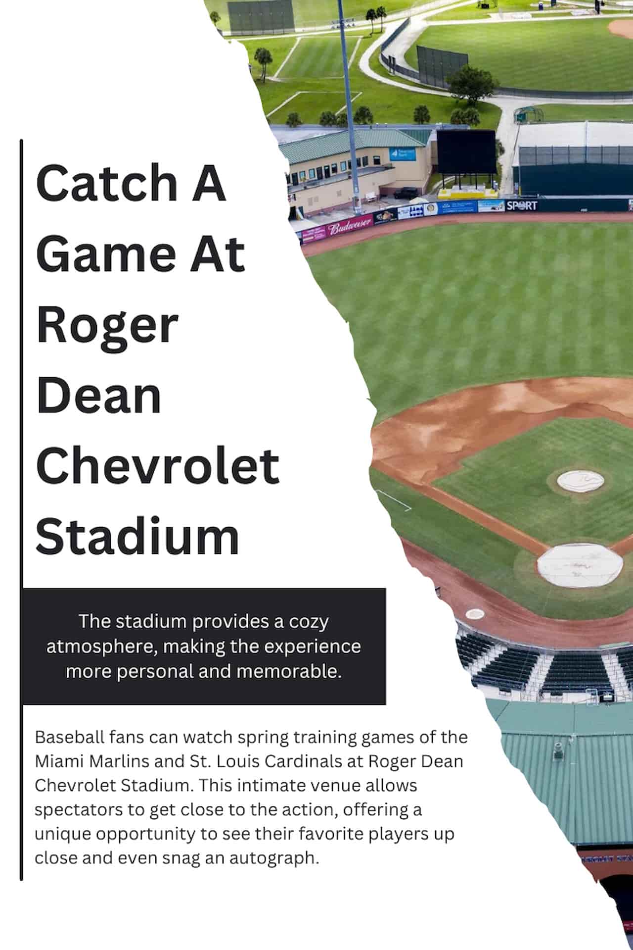 35 Amazing Things To Do In Jupiter Floridas Celeb Magnet Catch A Game At Roger Dean Chevrolet Stadium
