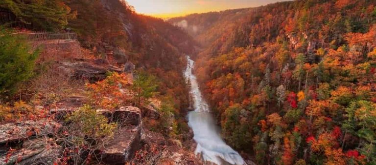 47 Awesome Adventures In North Georgia