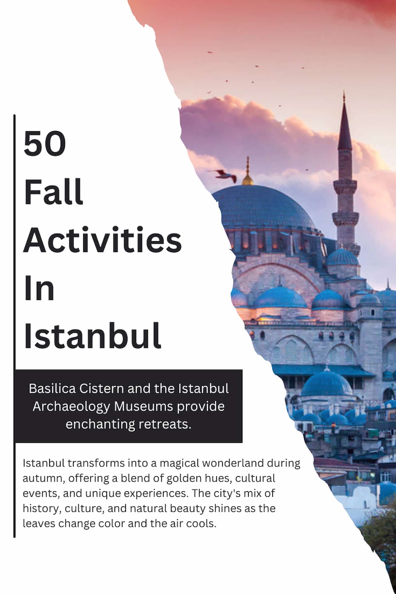 50 Fall Activities In Istanbul Foliage Festivals More