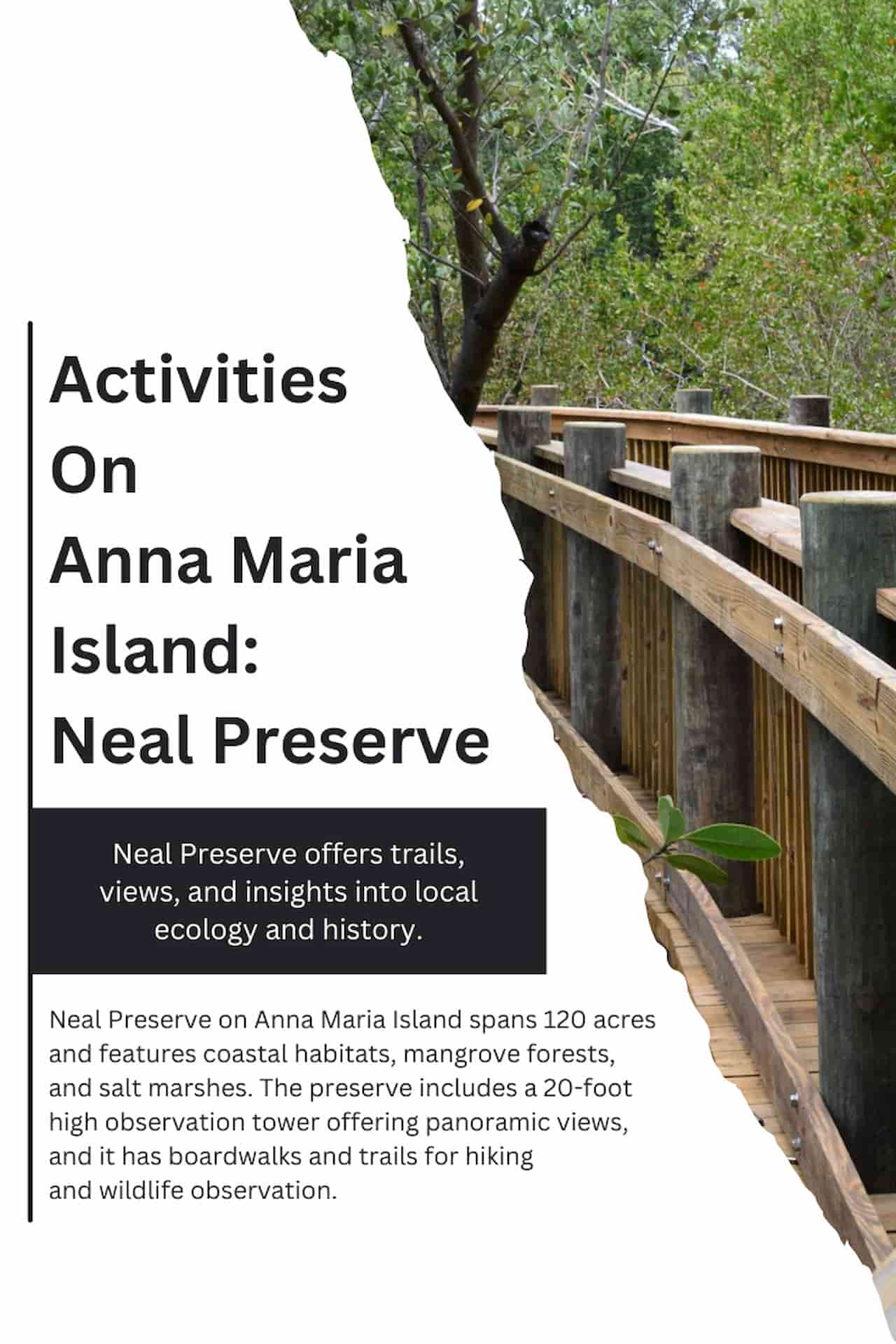 Activities On Anna Maria Island Neal Preserve
