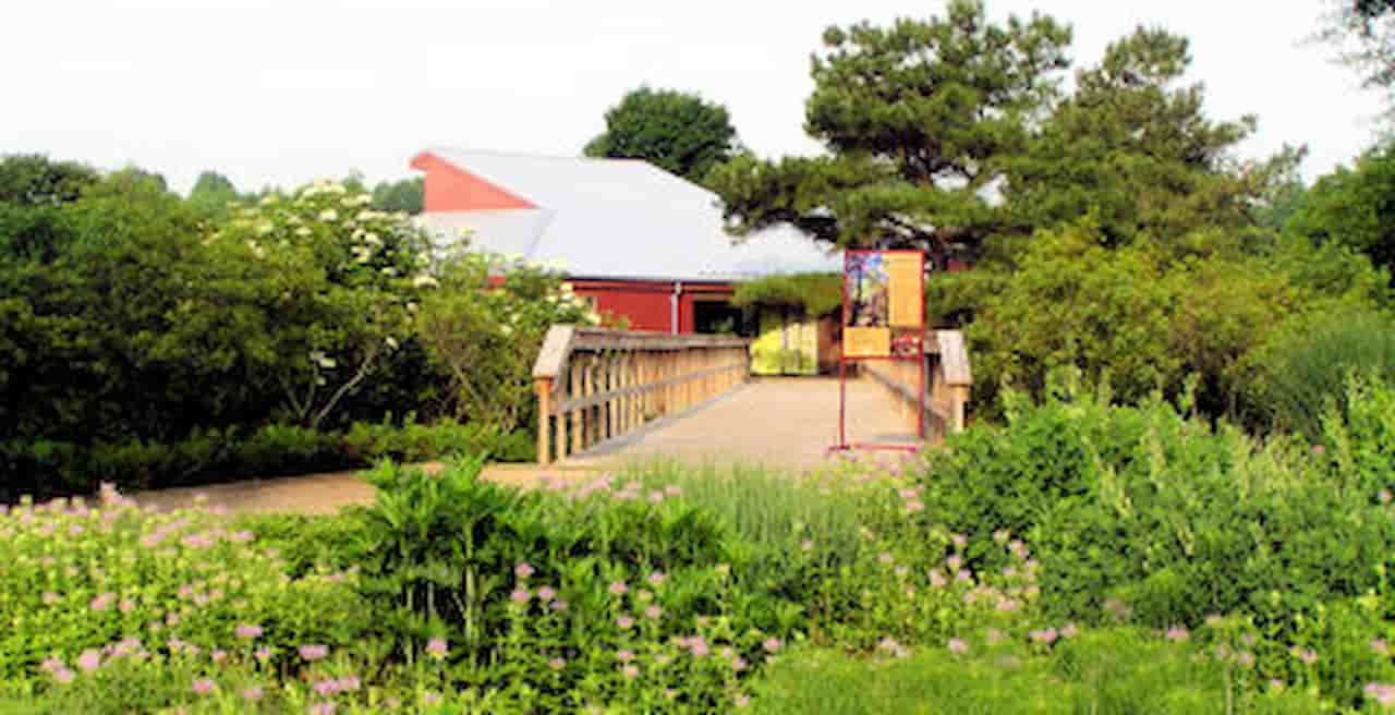 Adkins Arboretum Ridgely