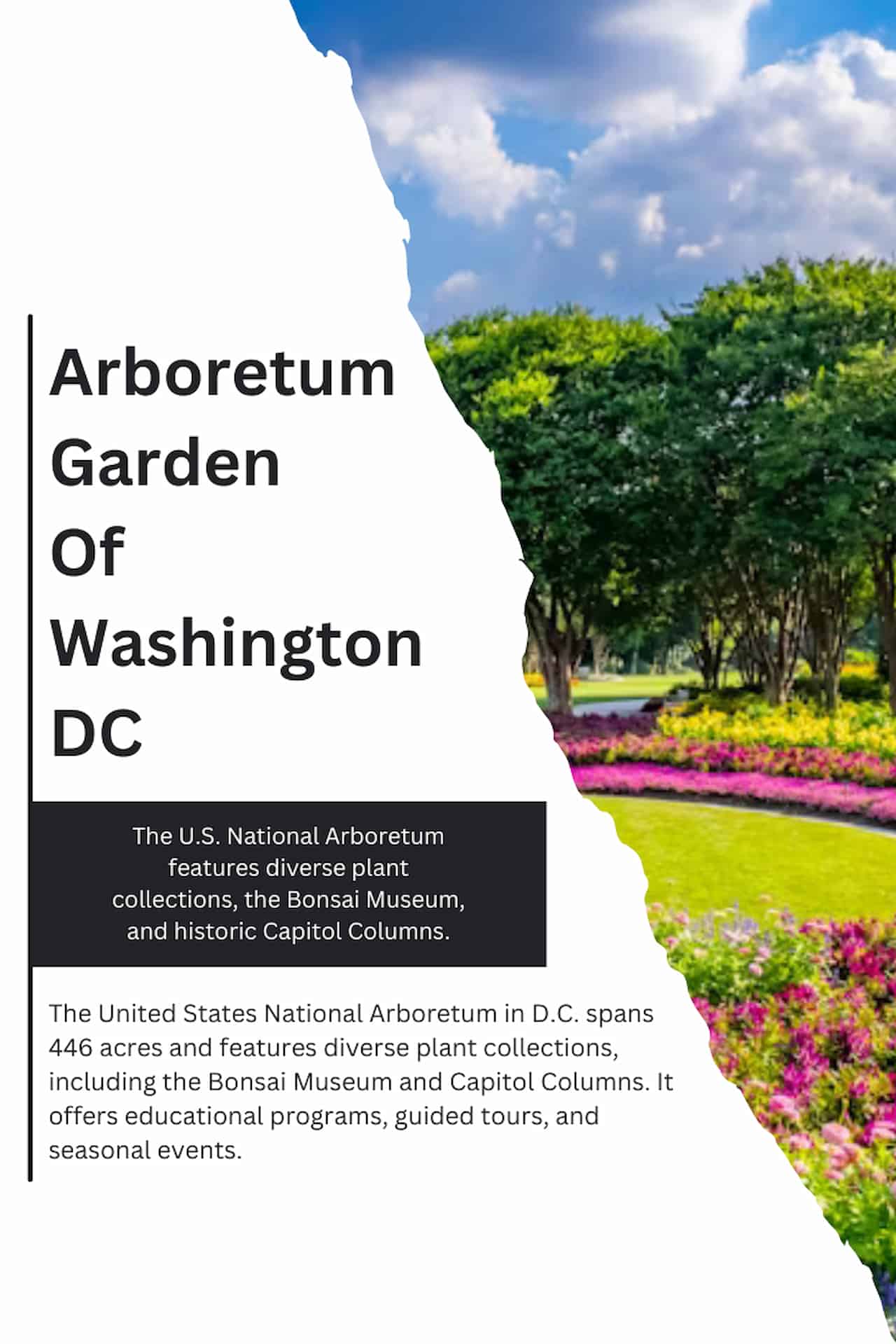 Arboretum Garden Of Washington DC