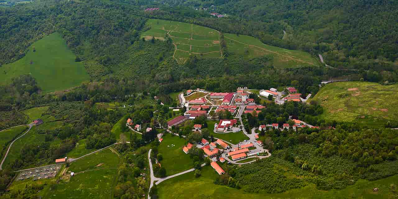 Attend The Autumn Conservation Festival At The Smithsonian Conservation Biology Institute