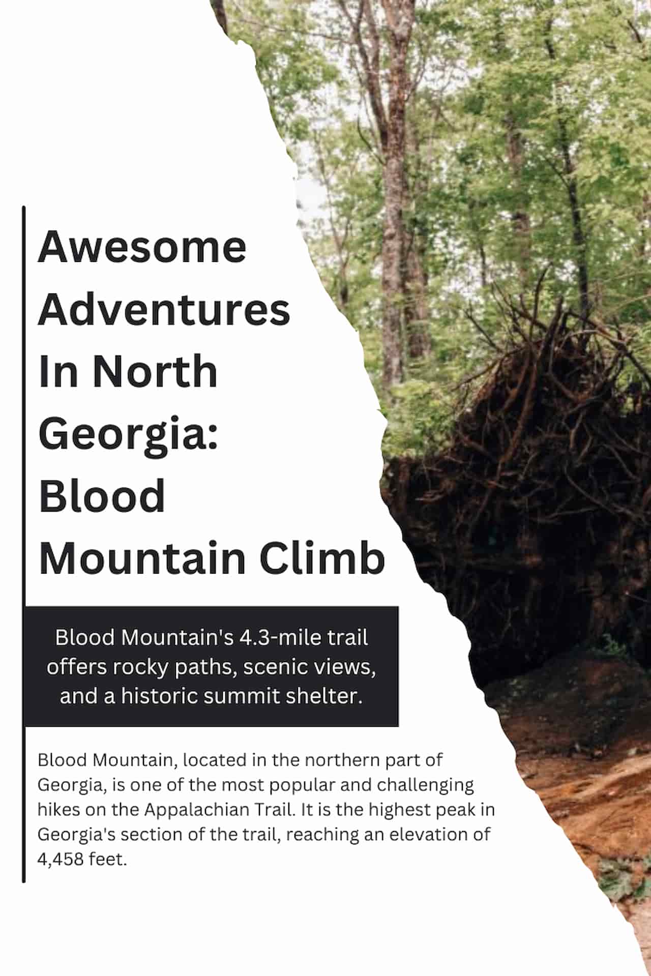 Awesome Adventures In North Georgia Blood Mountain Climb