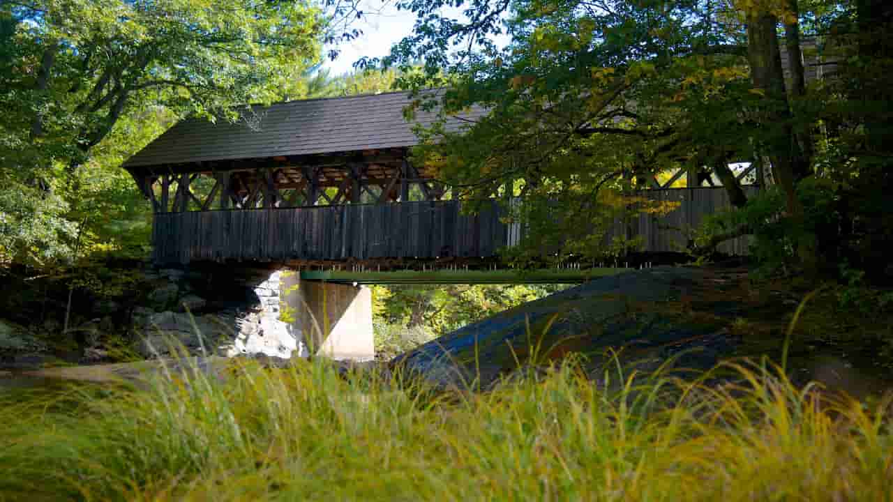 Bethel