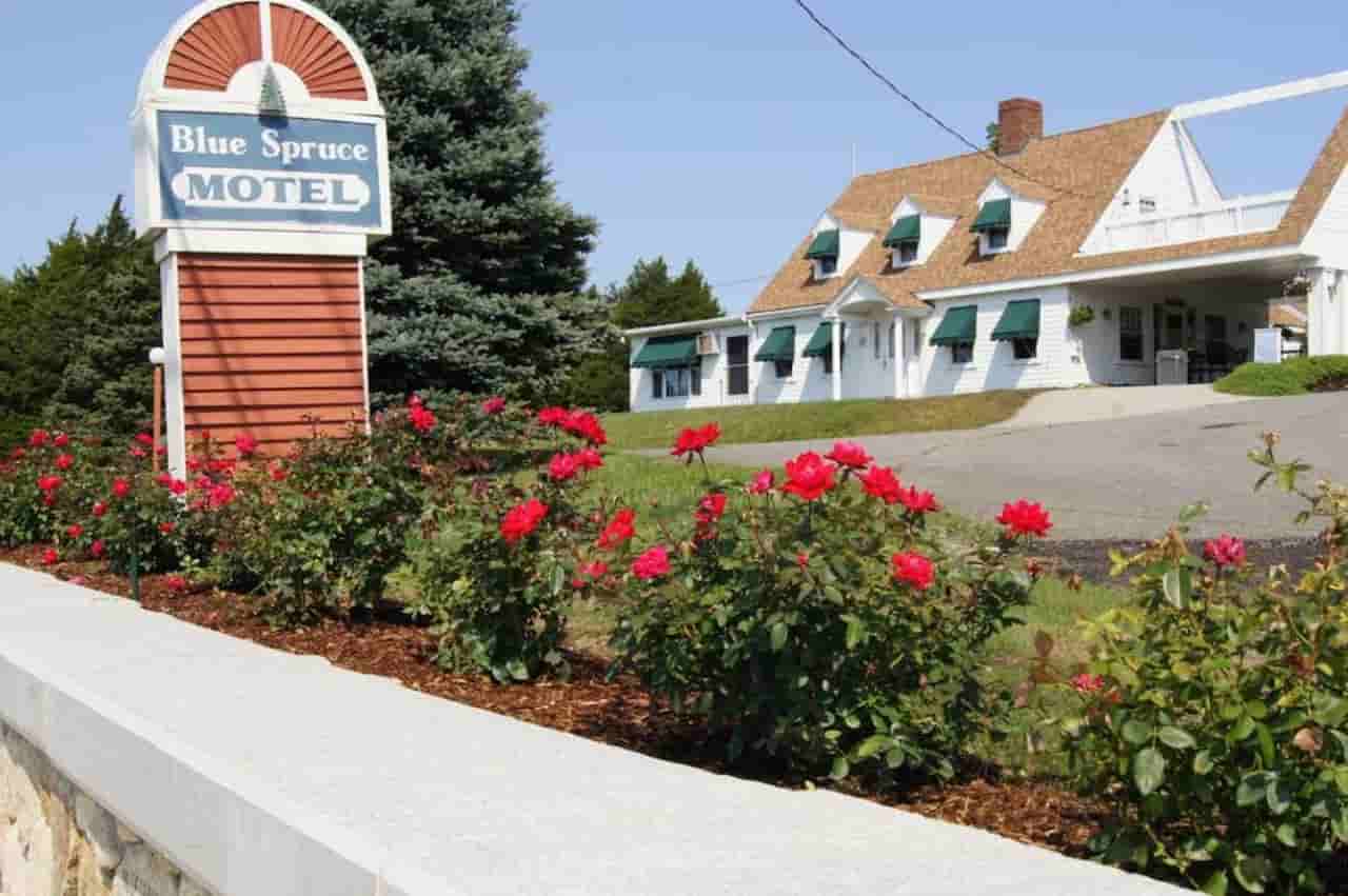 Blue Spruce Motel Townhouses