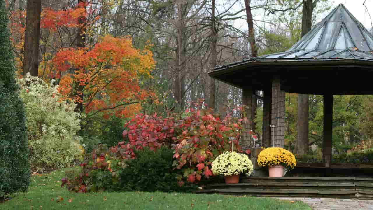 Brookside Gardens Wheaton