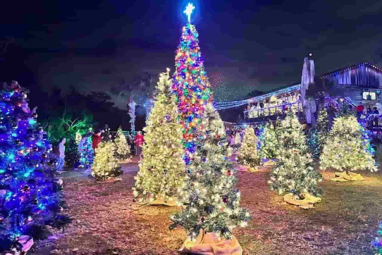 Celebrations Christmas Decor