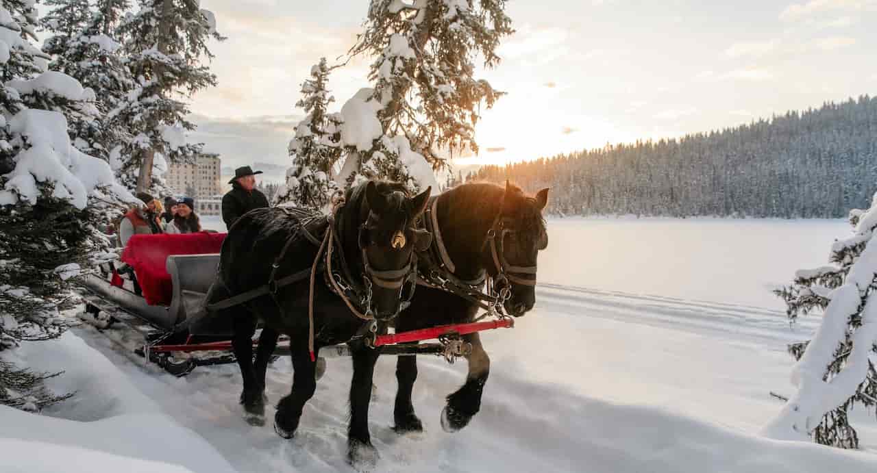Enjoy a Sleigh Ride at Farm by the River Bed and Breakfast