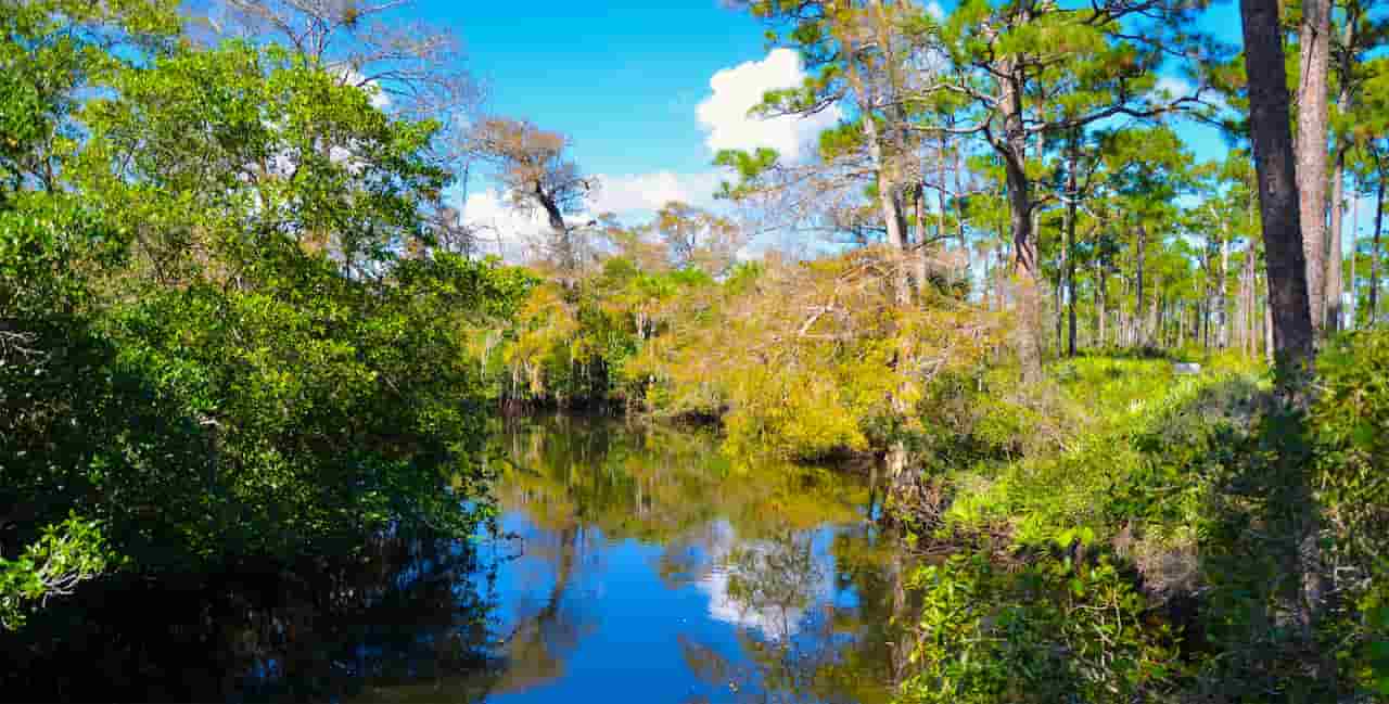 Explore Jonathan Dickinson State Park