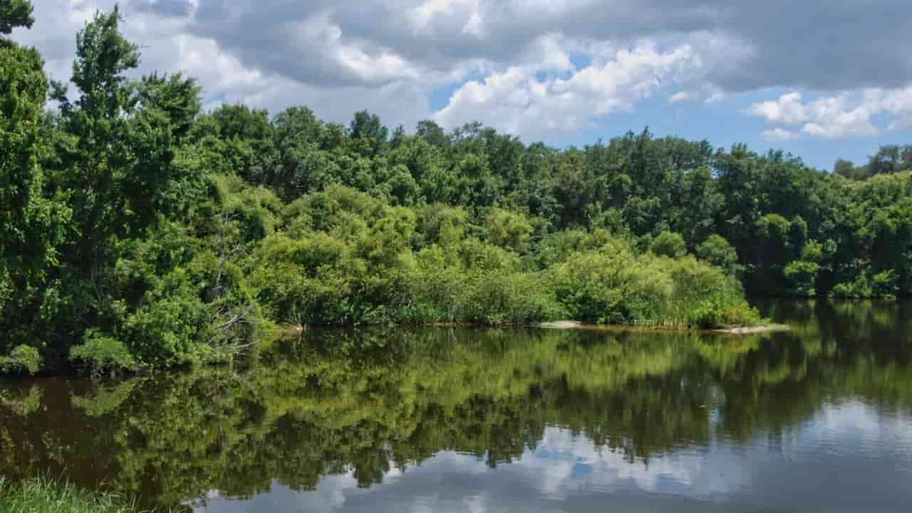 Explore Moccasin Lake Nature Park