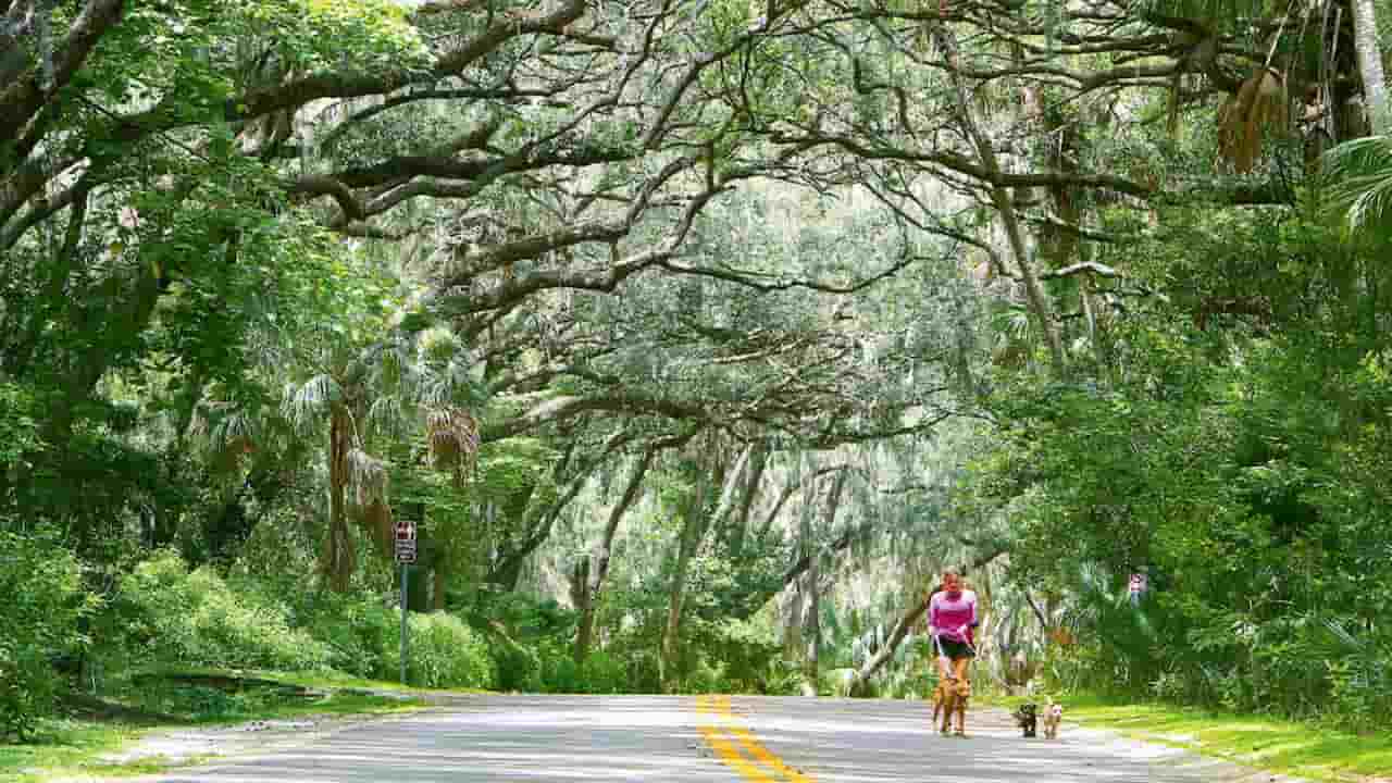 Explore Philippe Park