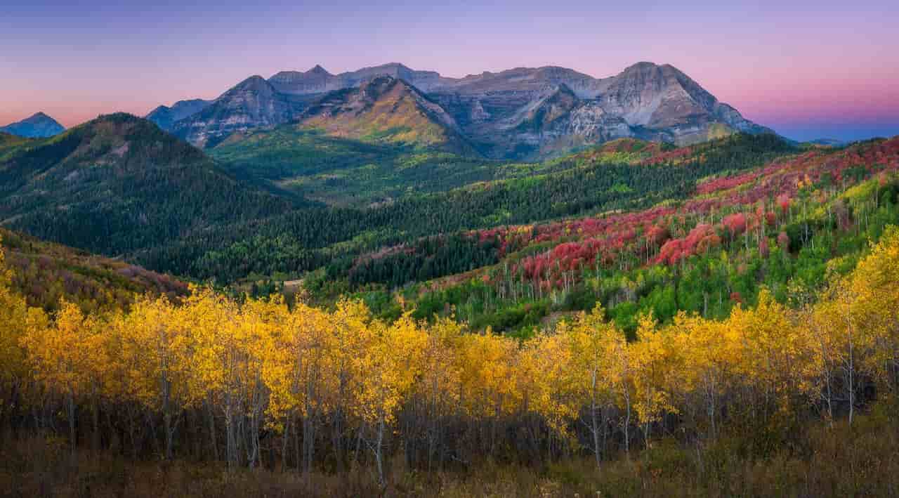 Fall Foliage Photography Workshop