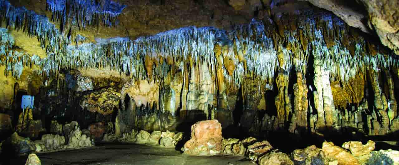 Florida Caverns Tour Marianna to Gainesville