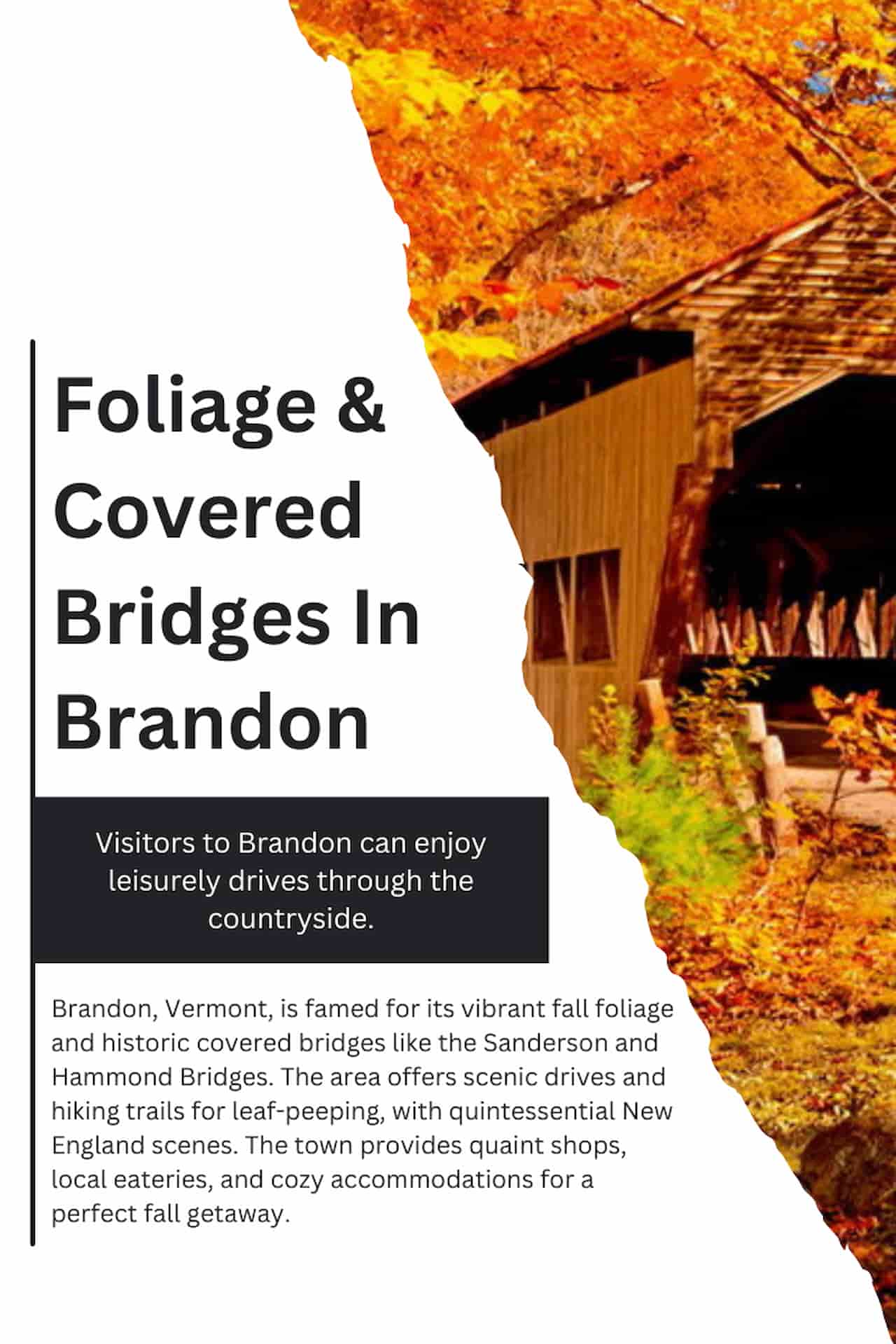 Foliage Covered Bridges In Brandon