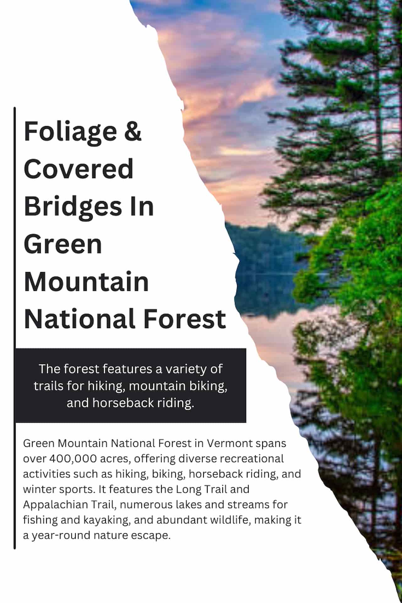 Foliage Covered Bridges In Green Mountain National Forest