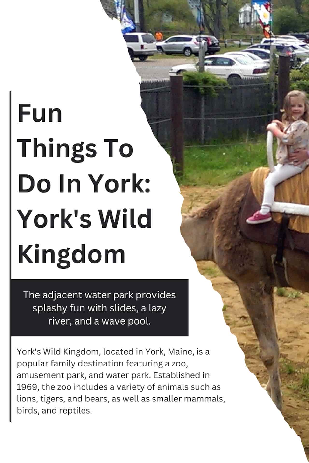 Fun Things To Do In York Yorks Wild Kingdom