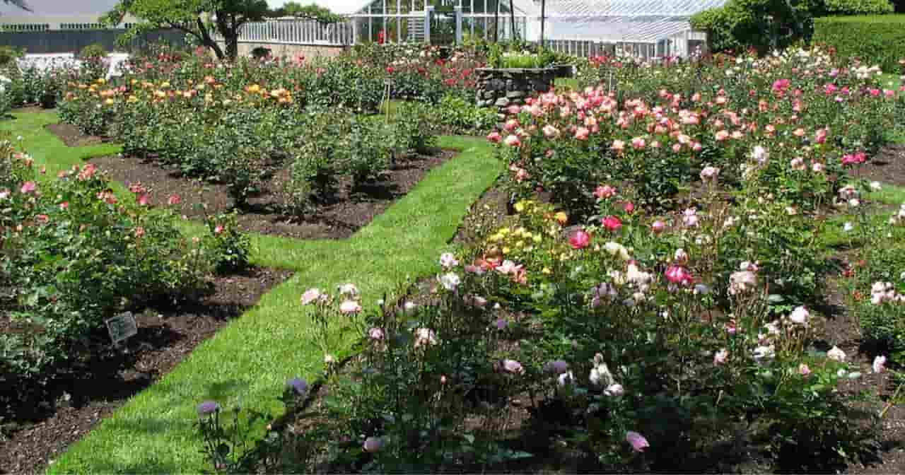 Garden And Farm Visits