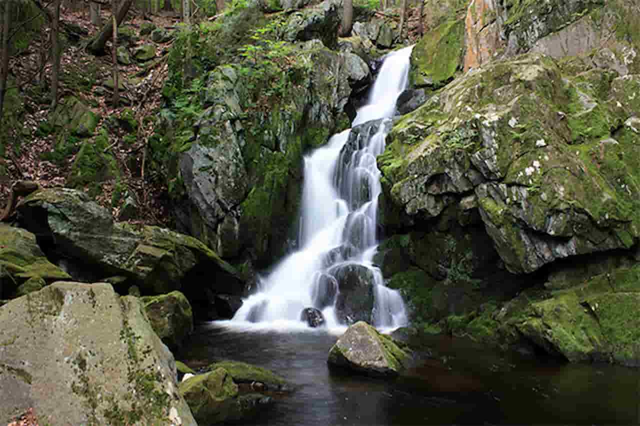 Goldmine Brook Falls