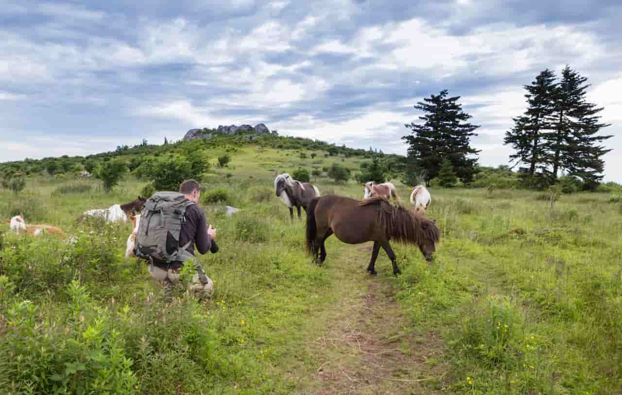 Grayson Highlands State Park Virginia