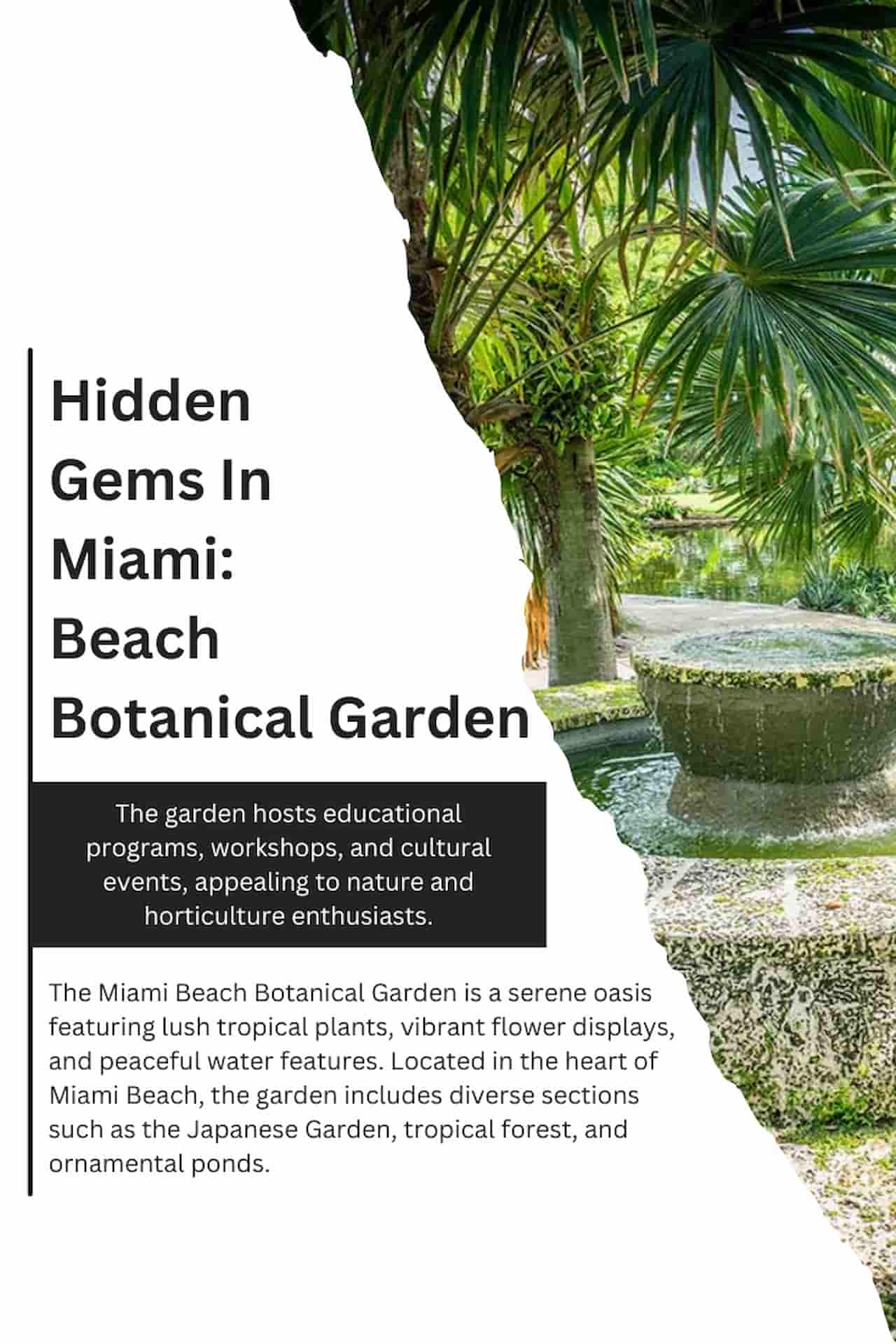 Hidden Gems In Miami Miami Beach Botanical Garden