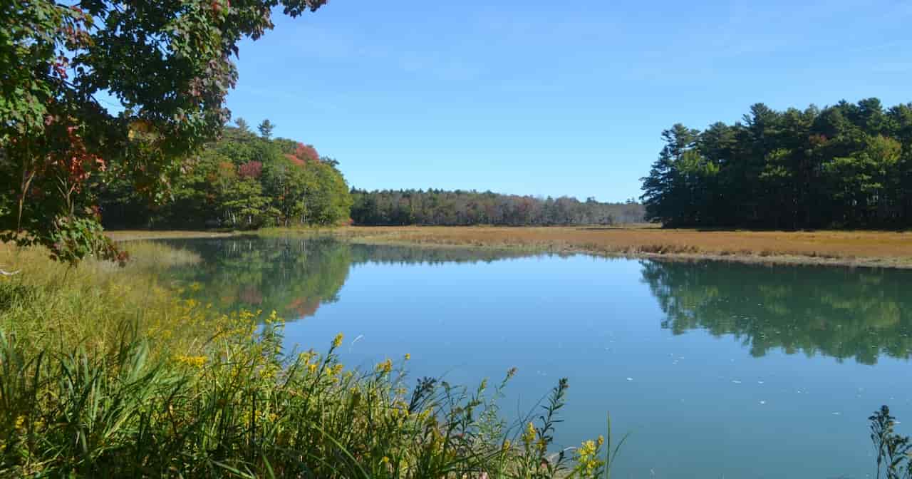 Hike The Rachel Carson National Wildlife Refuge