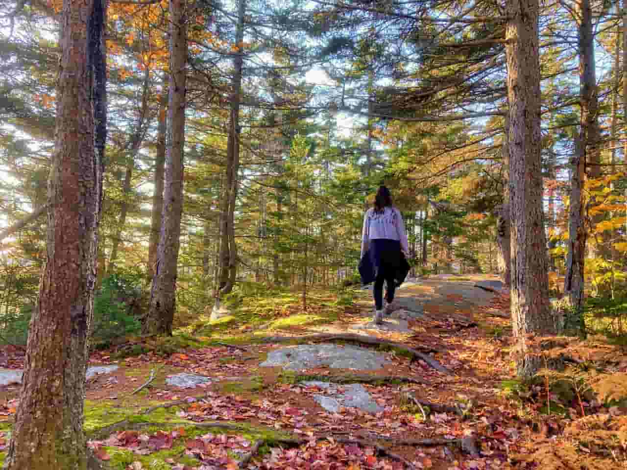 Hiking And Nature Walks