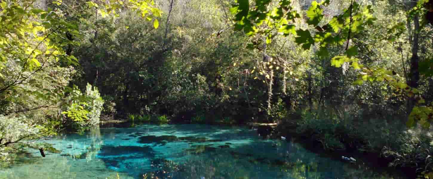Ichetucknee Springs State Park 1