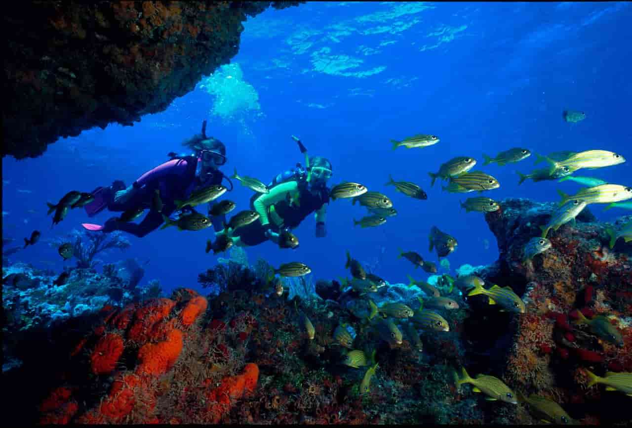 John Pennekamp Coral Reef State Park