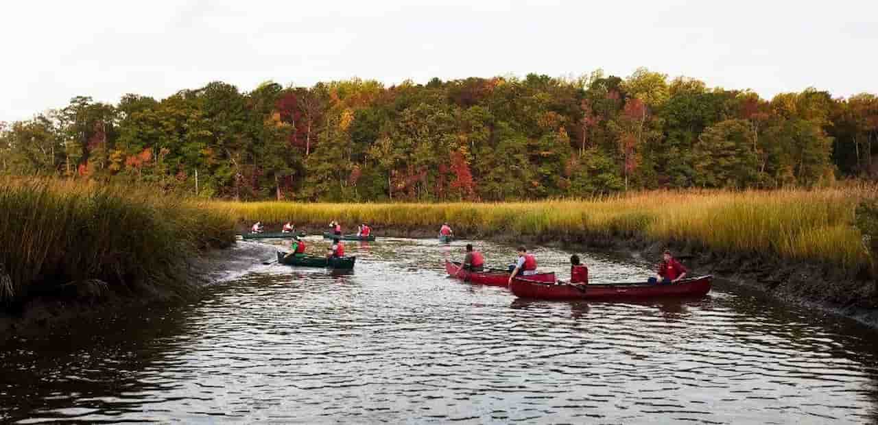 Kayak the York River