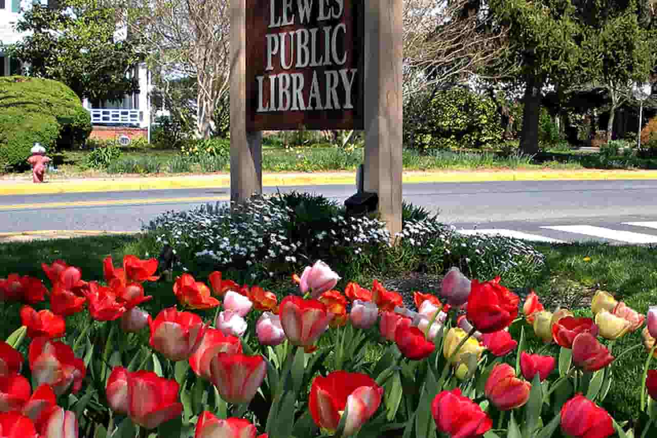 Lewes Tulip Festival