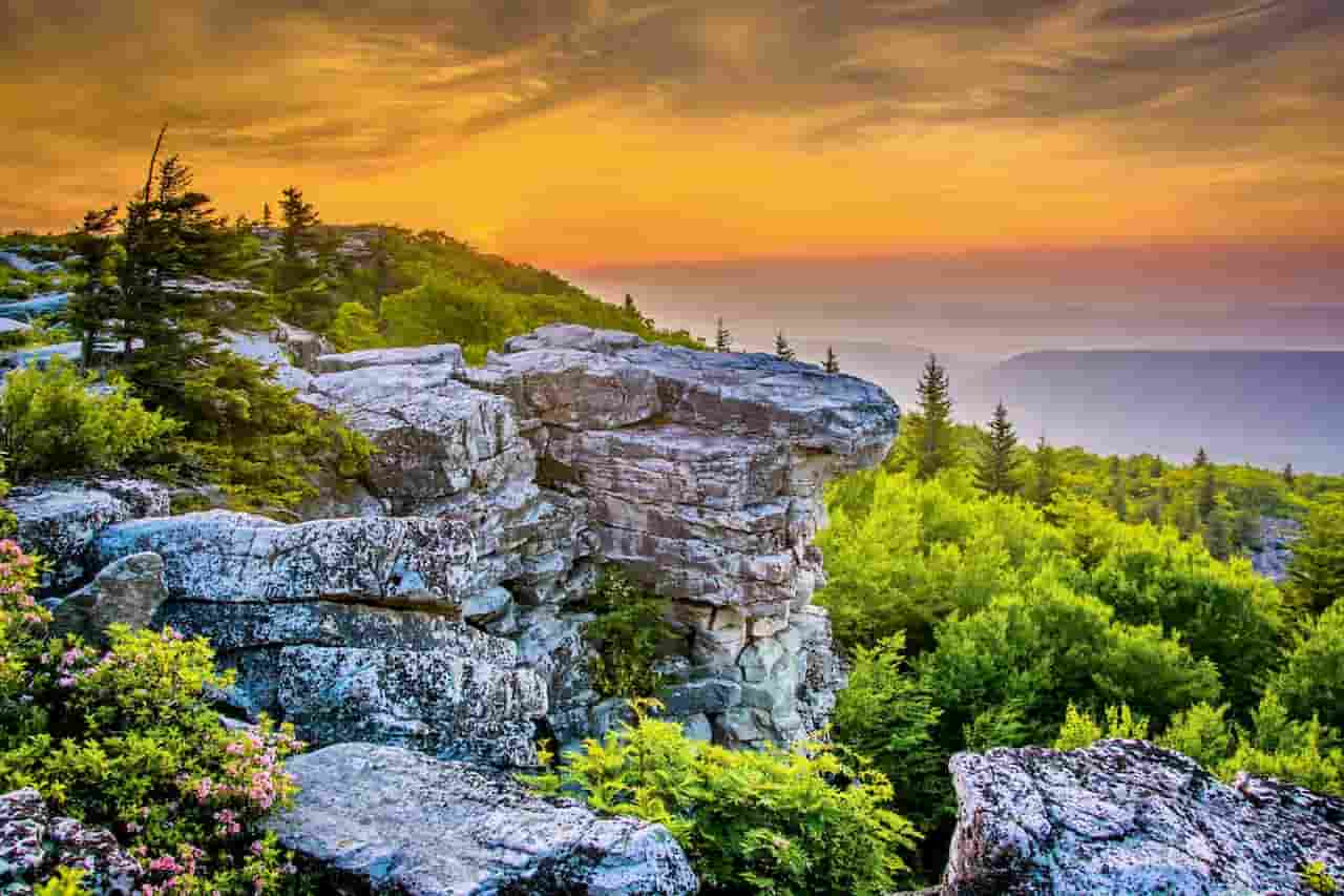 Monongahela National Forest West Virginia
