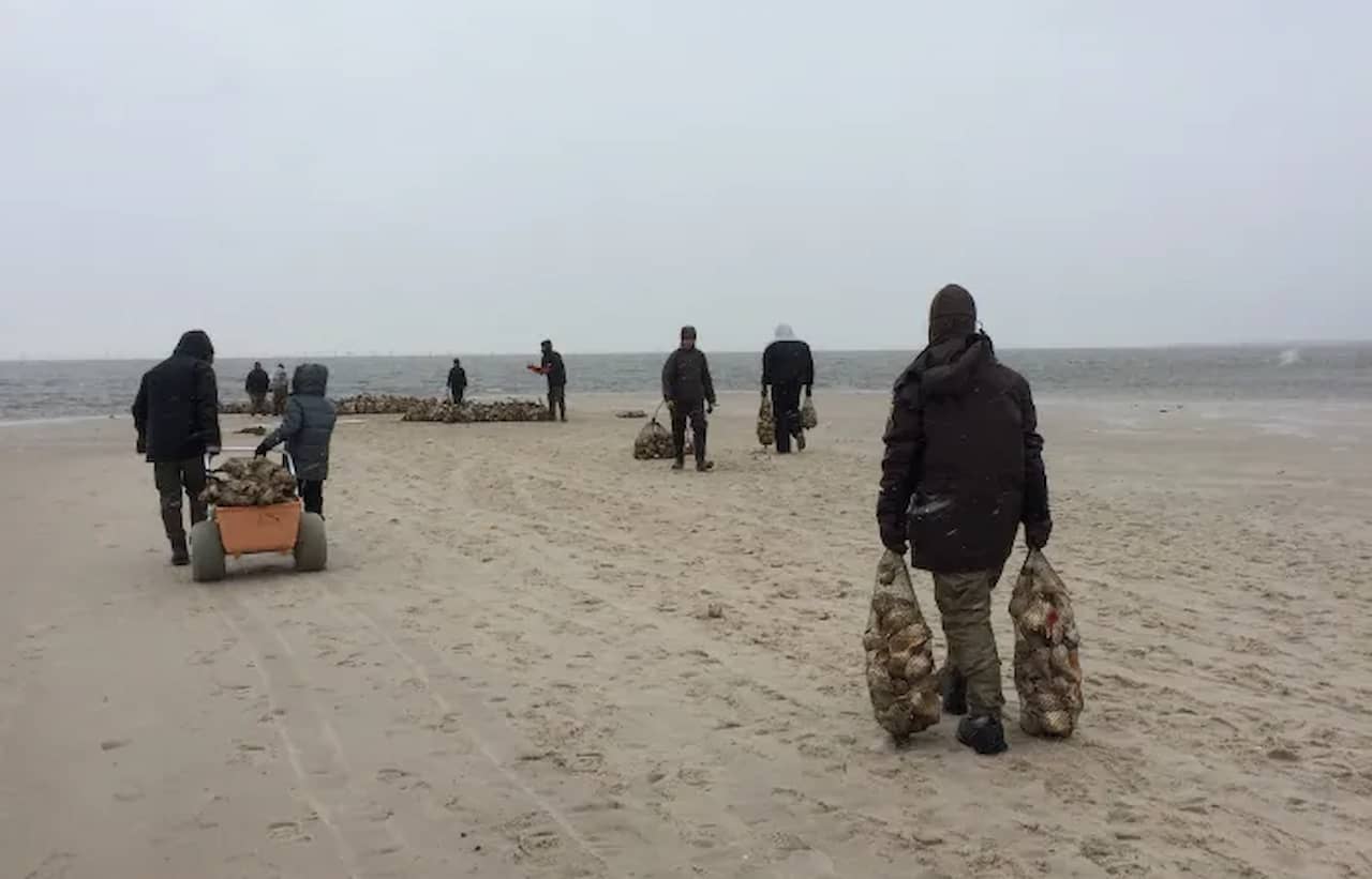 Moors Beach