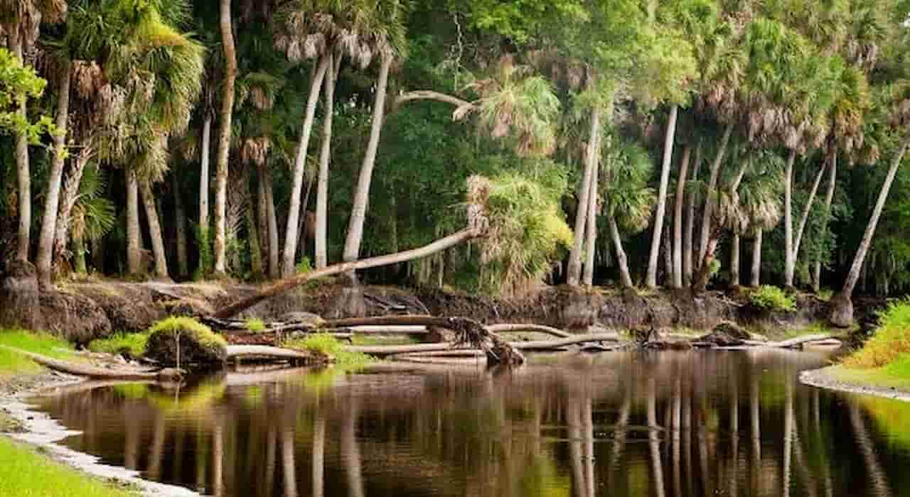 Myakka River State Park