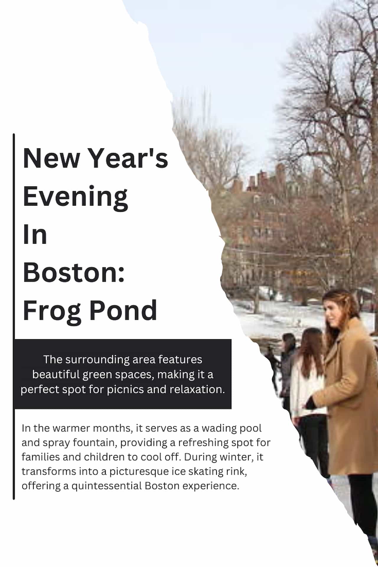 New Years Evening In Boston Frog Pond