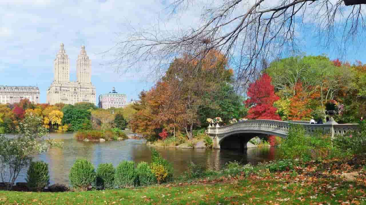 Parks And Outdoor Spaces