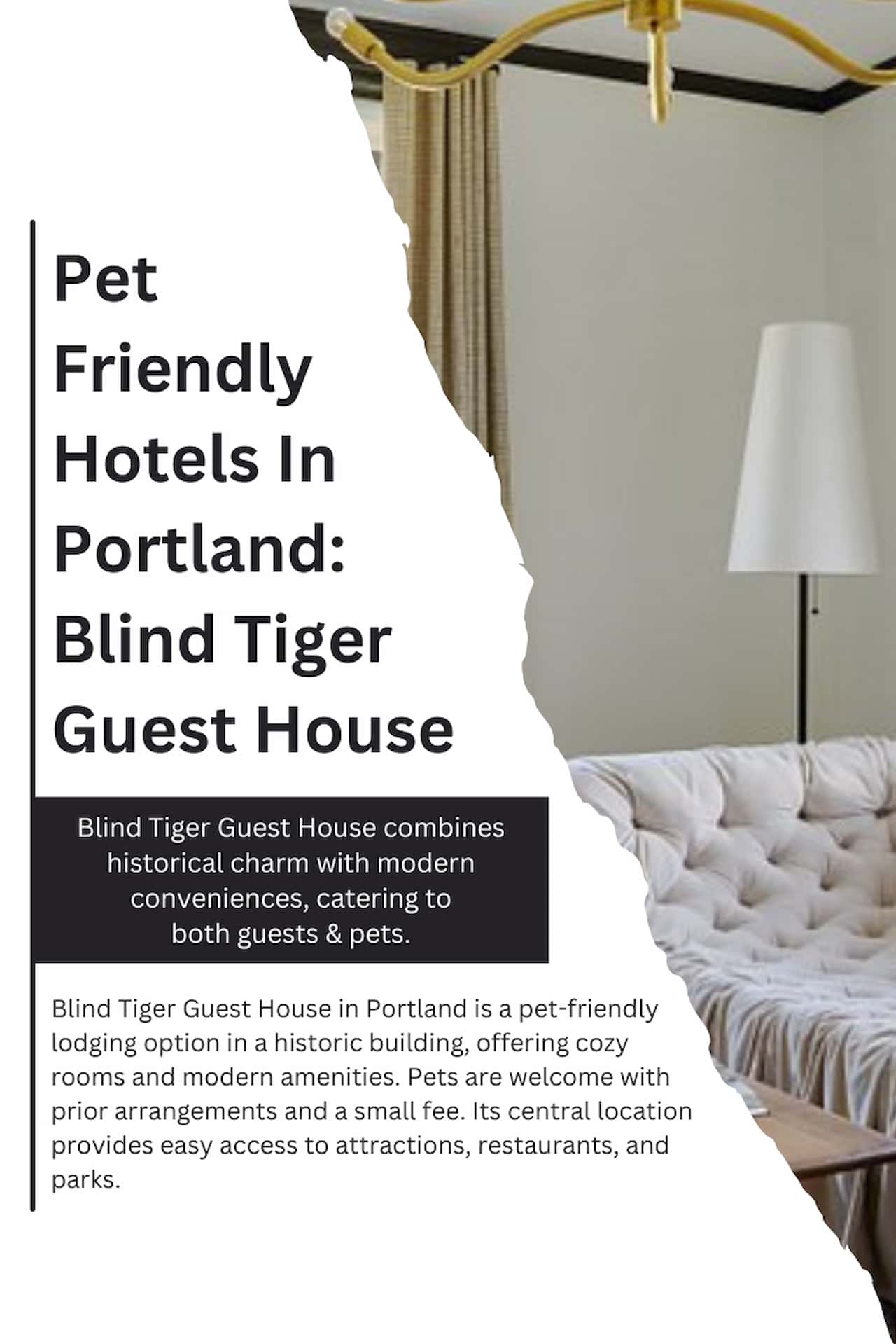 Pet Friendly Hotels In Portland Blind Tiger Guest House