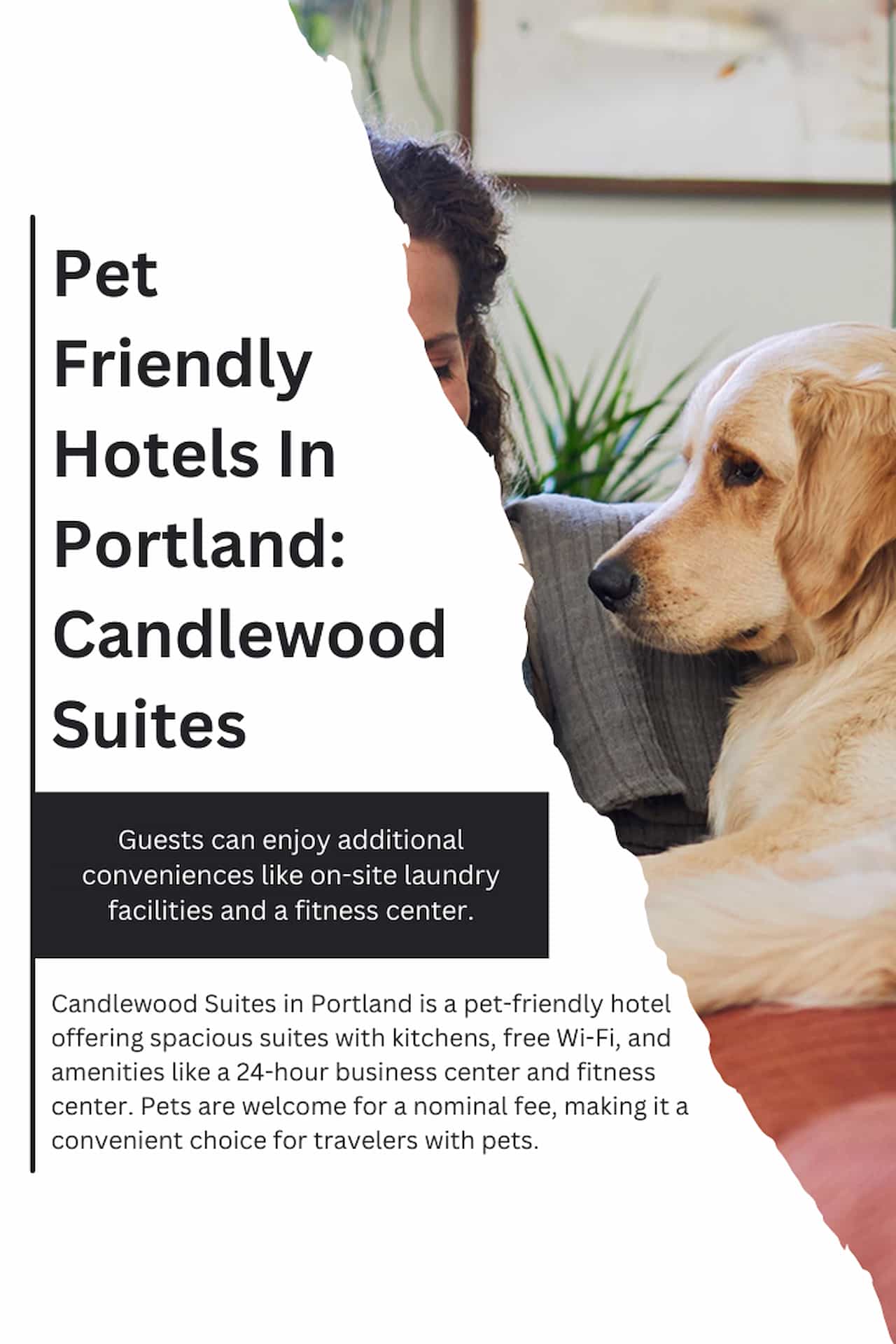 Pet Friendly Hotels In Portland Candlewood Suites