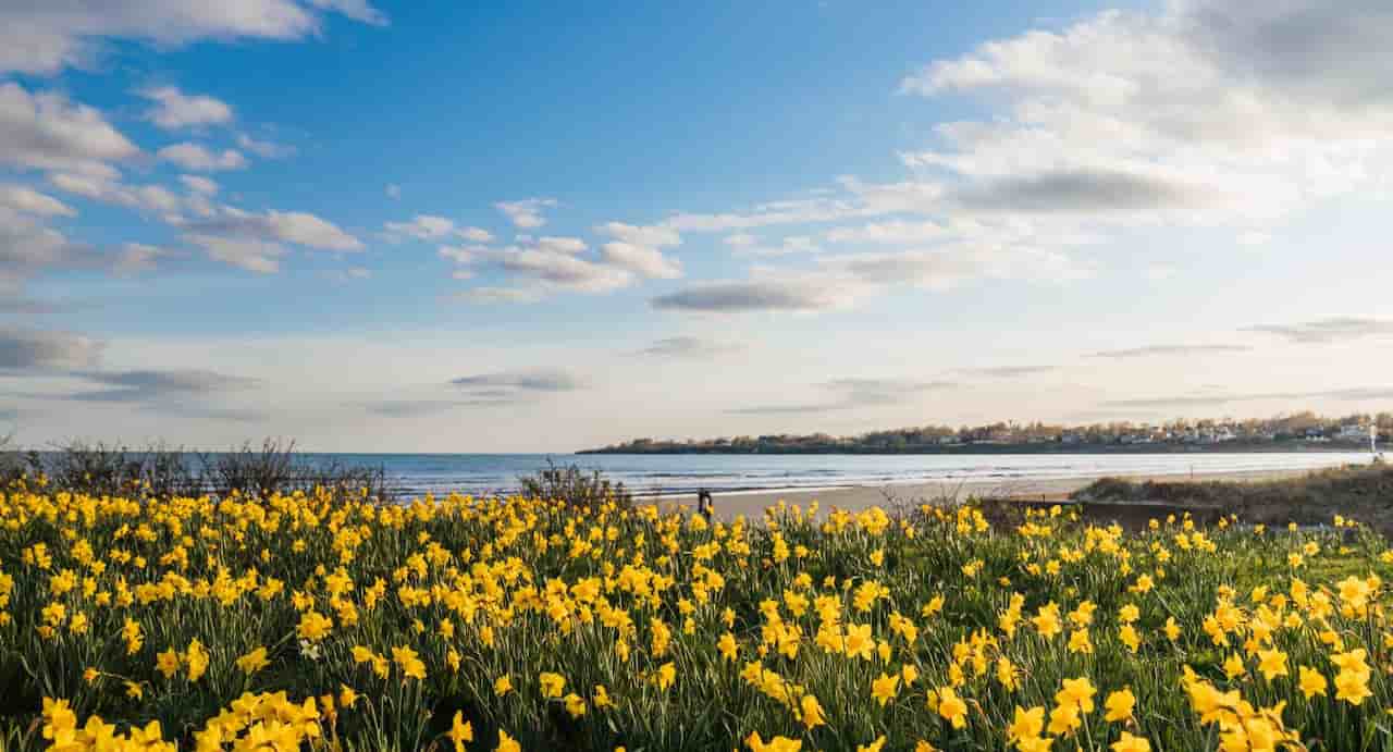 Rhode Island Spring Guide 16 Exciting Activities Places
