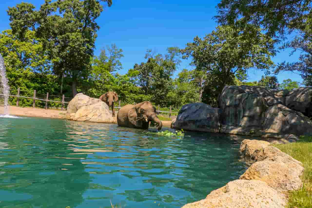 Roger Williams Park Zoo