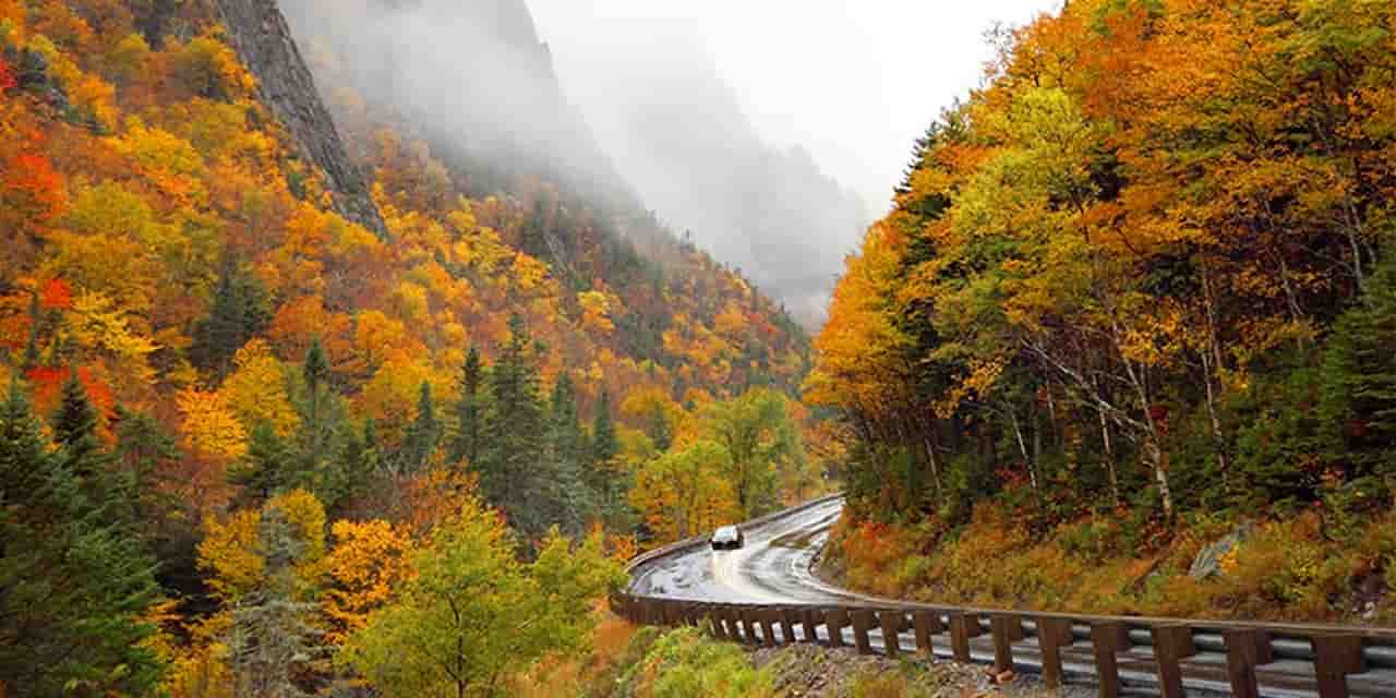 Scenic Drives