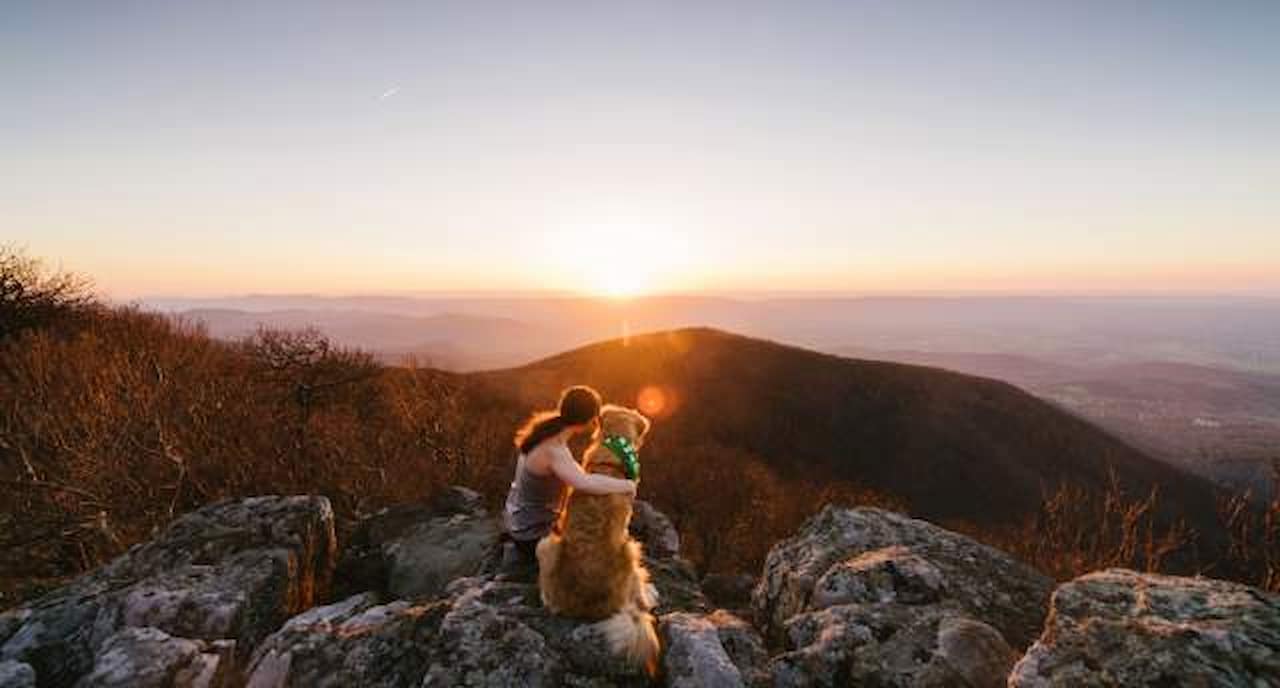 Shenandoah National Park Virginia