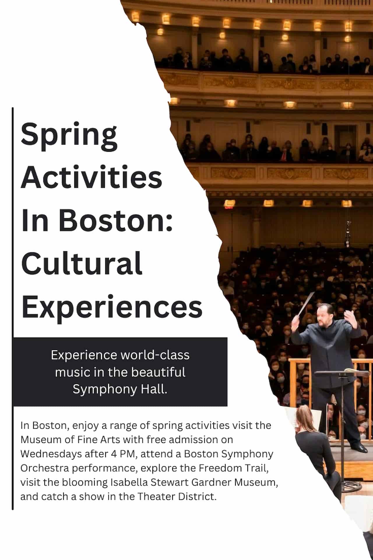Spring Activities In Boston Cultural