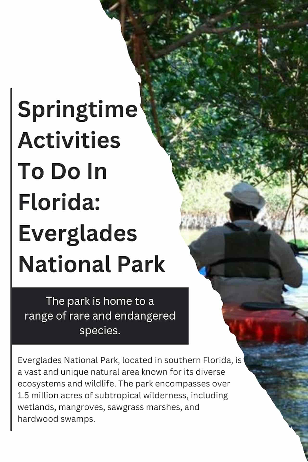 Springtime Activities To Do In Florida Everglades National ParkIn Florida 32 Fun Activities Destinations