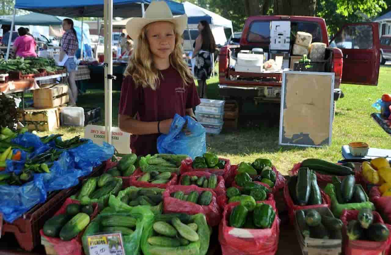 Stroll Through the Baltimore Farmers Market Bazaar
